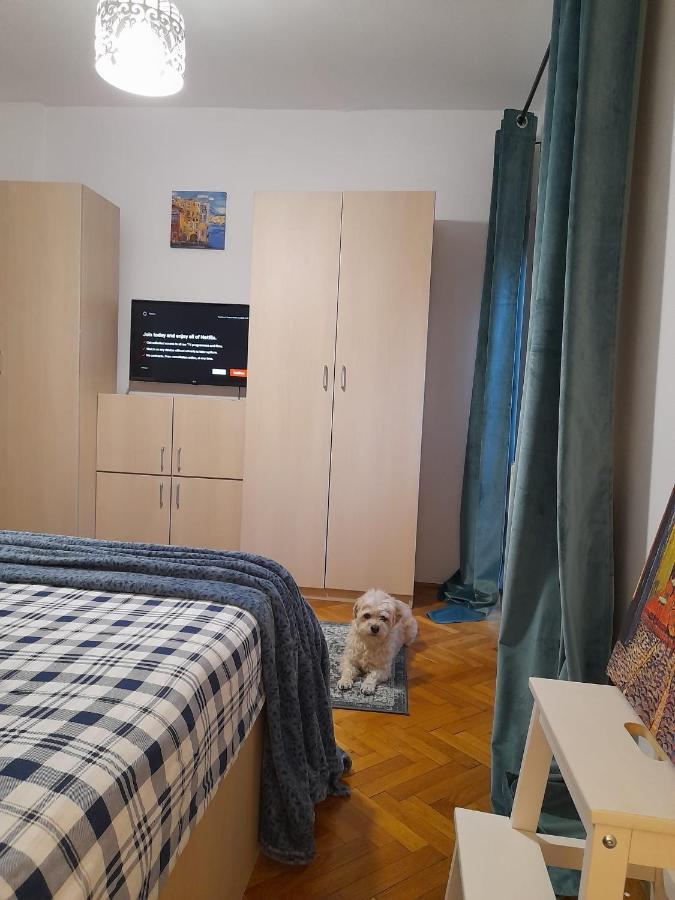 Apartamento La Rossa Braşov Exterior foto